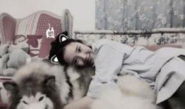 大狗最新爆料视频大全,揭秘热点事件背后的真相